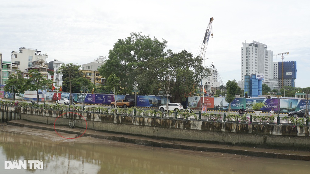 Lý do đàn thiên nga 200 con trên sông Tam Bạc chỉ còn 5 con - 5 Lý do đàn thiên nga 200 con trên sông Tam Bạc chỉ còn 5 con - 5