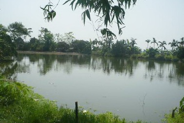 Bài 1: Hô biến đất của người "có công với nước” thành đất… của xã