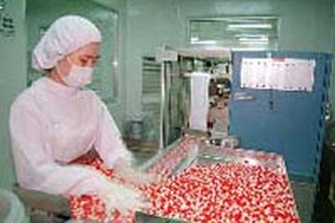 Phát hiện hai công ty tự ý nâng giá thuốc