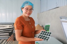 Vợ chồng cô giáo nuôi tảo "thần kỳ" bỏ túi trăm triệu đồng mỗi tháng