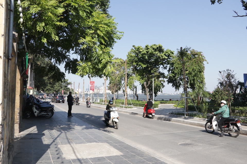 Hà Nội: Diện mạo mới của phố Trích Sài sau khi đánh chuyển 96 cây hoa sữa - 1 Hà Nội: Diện mạo mới của phố Trích Sài sau khi đánh chuyển 96 cây hoa sữa - 1