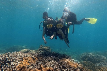 Kỳ vọng hút khách du lịch nông thôn, làng nghề