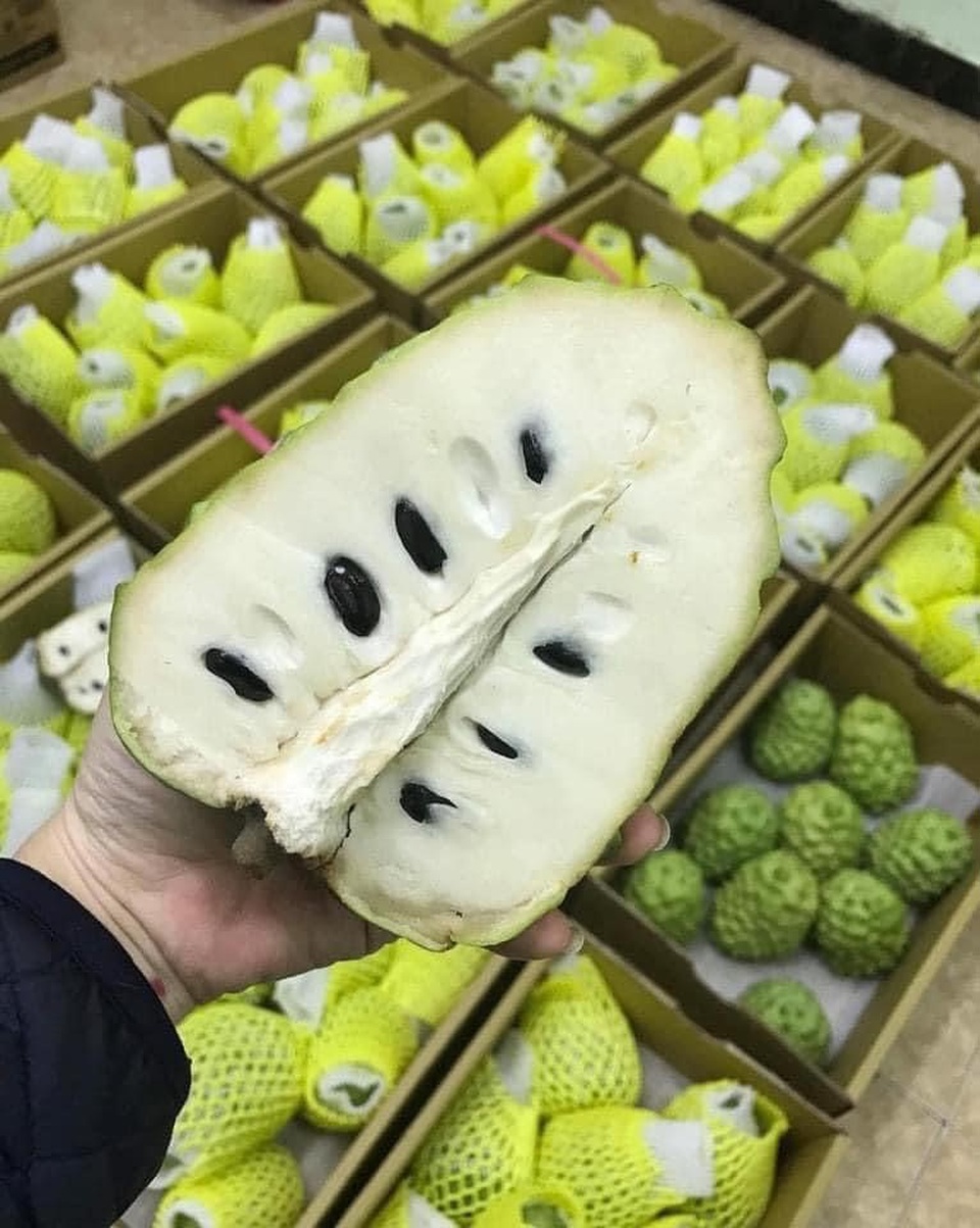 Na nhà giàu đi máy bay về Việt Nam, nửa triệu đồng/kg vẫn cháy hàng - 2 Na nhà giàu đi máy bay về Việt Nam, nửa triệu đồng/kg vẫn cháy hàng - 2
