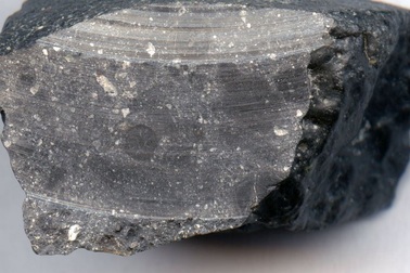 Thiên thạch cổ đại Sao Hỏa có nước trước khi tồn tại sự sống trên Trái đất?