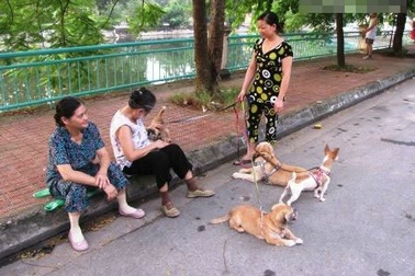 Nghề lạ: Dắt chó thuê, đọc sách mướn