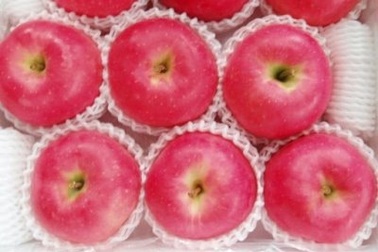 Nhật Bản muốn xuất khẩu táo sang Việt Nam trong tháng 9