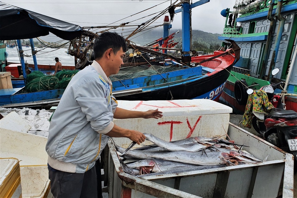 Ăn Tết trên biển, ngư dân trúng lộc đầu năm mới - 3 Ăn Tết trên biển, ngư dân trúng lộc đầu năm mới - 3
