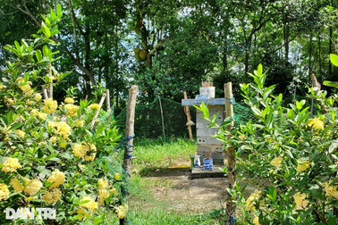 Chuyện lạ ở nơi "mở cửa lên trời" gần 500 năm trước