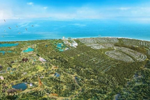 Hủy quy hoạch dự án Safari Hồ Tràm hơn 600ha tại Bà Rịa - Vũng Tàu