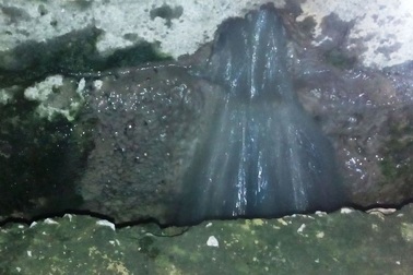 Dân ngộp thở vì xưởng sản xuất giấy