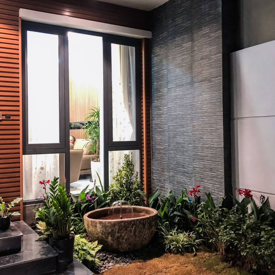 Gia đình ở Hà Nội trồng cả vườn cây xanh đẹp hiếm có trong căn nhà phố - 6