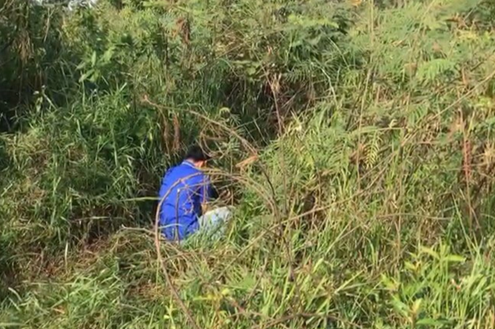 Người phụ nữ chết bất thường trong bụi cỏ khi đi hái lá muồng - 1 Người phụ nữ chết bất thường trong bụi cỏ khi đi hái lá muồng - 1