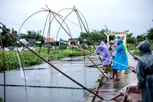 Người dân giăng lưới bắt cá sau mưa lớn