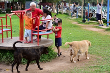 Vấn nạn thả rông, dắt chó cưng vào công viên phóng uế