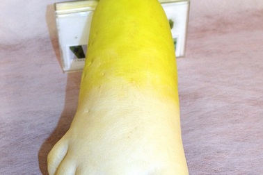 Củ cải khổng lồ “đội lốt” bàn chân người