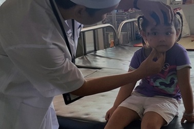 Kiến ba khoang “tấn công” vào bệnh viện