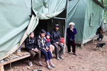 Nghệ An: Phân bổ hơn 303 tấn gạo cứu đói cho người dân bị thiên tai