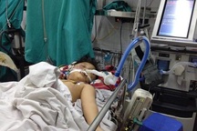 Bắt tạm giam người bố đánh con trai đến nguy kịch