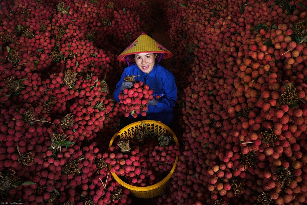 Cảnh tắc đường dài vài ki-lô-mét mùa vải thiều Lục Ngạn chín rộ ở Bắc Ninh - 3 Cảnh tắc đường dài vài ki-lô-mét mùa vải thiều Lục Ngạn chín rộ ở Bắc Ninh - 3