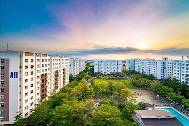 TPHCM: Căn hộ vài chục tỷ đồng đầy rẫy, nhà giá rẻ "mất tích"