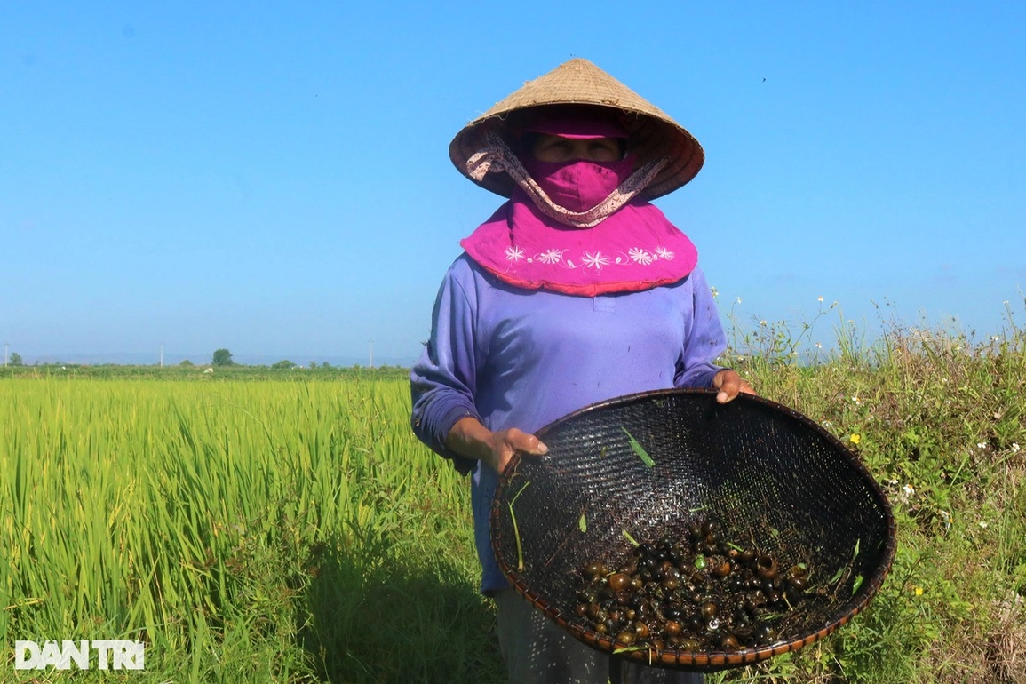 Người dân vùng khó kiếm bộn tiền nhờ thức ăn cho cá sấu và tôm hùm - 2 Người dân vùng khó kiếm bộn tiền nhờ thức ăn cho cá sấu và tôm hùm - 2