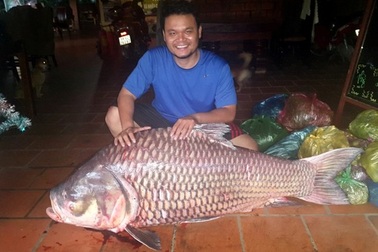 Thủy quái Mekong trong nồi lẩu trăm triệu đại gia Sài Gòn