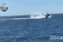 Cá voi hất văng thuyền lên cao, hành khách rơi tõm xuống biển