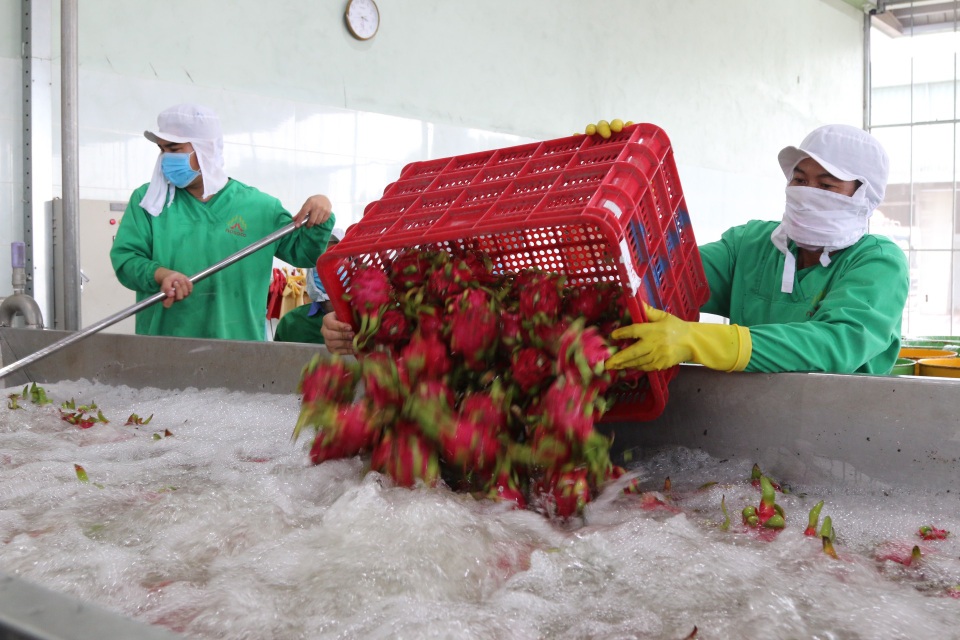 TPHCM: Bằng mọi giá không để công nhân mất việc làm vì Covid-19 - 1 TPHCM: Bằng mọi giá không để công nhân mất việc làm vì Covid-19 - 1