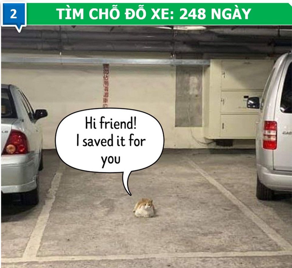 Chúng ta tiêu tốn bao nhiêu thời gian vào những việc “vô bổ” trong cuộc đời? - 2 Chúng ta tiêu tốn bao nhiêu thời gian vào những việc “vô bổ” trong cuộc đời? - 2