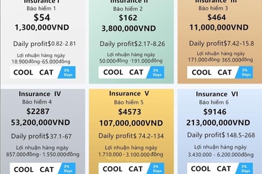 Bỏ tiền tỷ, vay nặng lãi đầu tư Coolcat: Người chơi "chết đứng" khi sàn sập