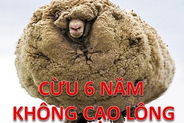 Những sự thật khó tin cho đến khi bạn tận mắt nhìn thấy!