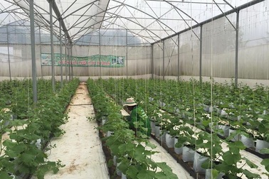 An Giang: Phát triển nông nghiệp công nghệ cao… thuận lợi và thách thức