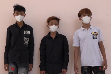 Bắt băng trộm "nhí" chuyên trộm mai kiểng đắt tiền