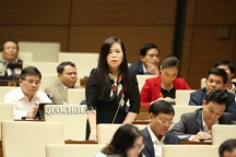 Đại biểu bình luận về kiến giải "mất rừng do Mỹ rải hoá chất" của Bộ trưởng