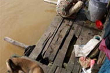 Giấc mộng lên bờ