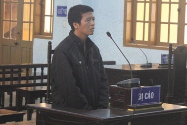 Cha đánh chết con, lãnh án 15 năm tù