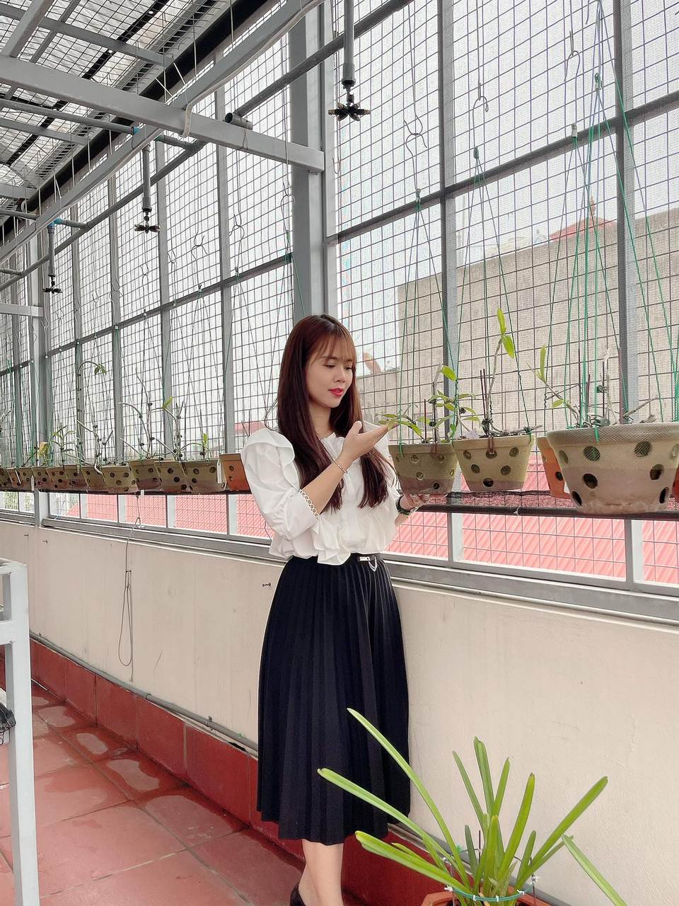 Nghệ nhân Lê Hải Yến chia sẻ bí quyết trồng lan đơn thân nhanh ra rễ - 4 Nghệ nhân Lê Hải Yến chia sẻ bí quyết trồng lan đơn thân nhanh ra rễ - 4