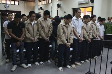 Hà Nội: 35 “sưa tặc” hầu tòa
