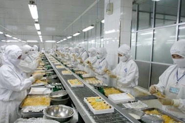 Sau Tết, nhiều nhà máy chế biến tôm ở Sóc Trăng tuyển hàng ngàn lao động