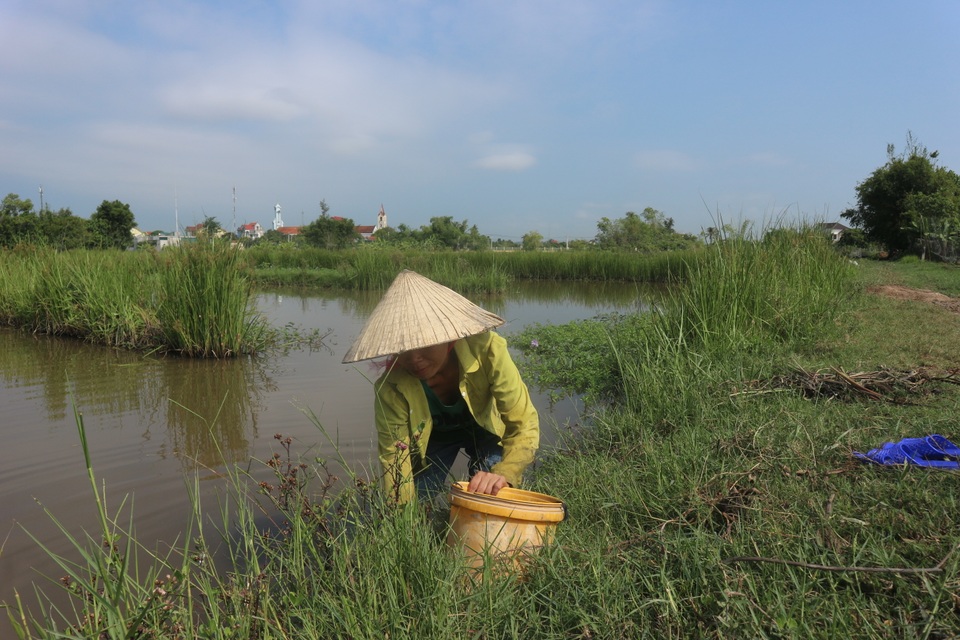 Vợ chồng chị Dậu thời hiện đại bất lực nhìn hai đứa con bị bệnh tim, động kinh - 7 Vợ chồng chị Dậu thời hiện đại bất lực nhìn hai đứa con bị bệnh tim, động kinh - 7