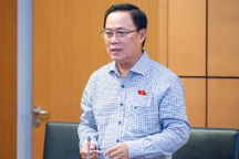 Đề xuất đánh thuế đất để hoang hóa