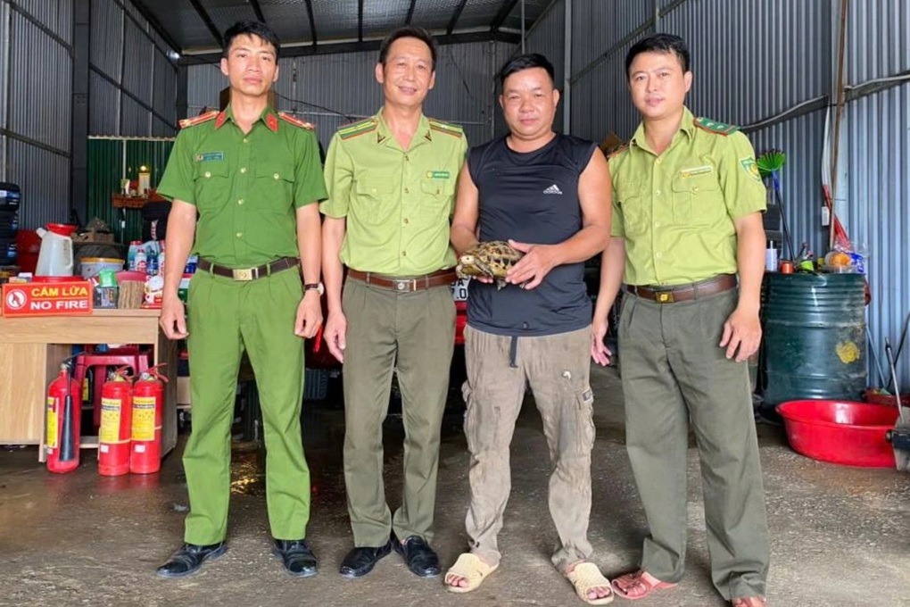 Người dân liên tiếp giao nộp nhiều động vật quý hiếm - 2