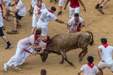 Thót tim với những hình ảnh “bò rượt người” trong lễ hội San Fermin