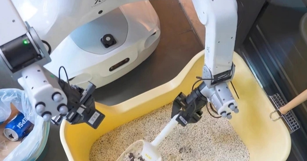 Robot giúp việc gia đình vừa vào việc đã nhận kín lịch ngay ngày đầu