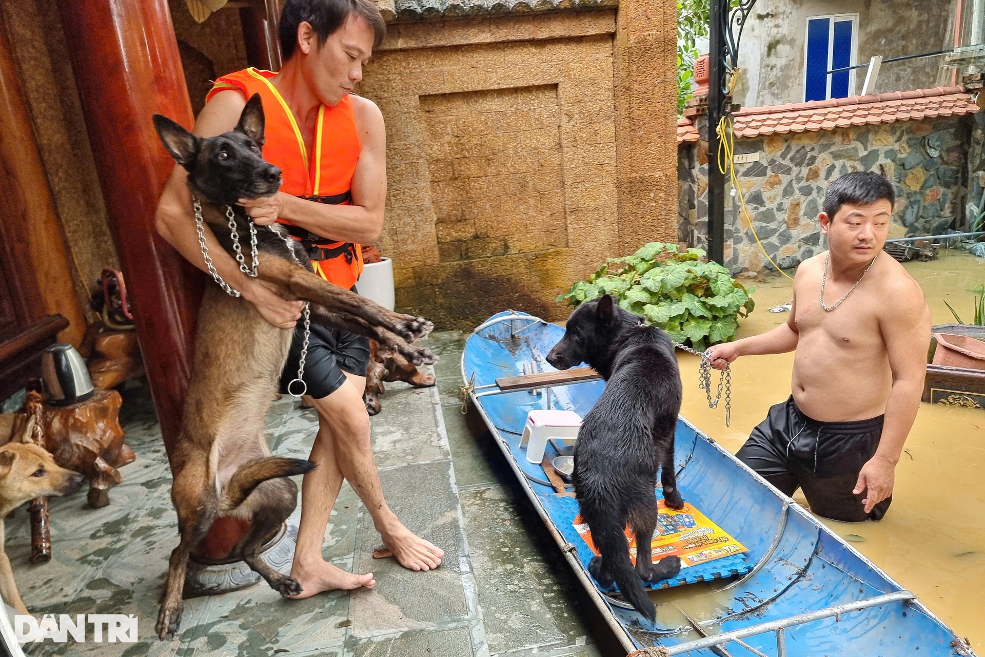 Thái Nguyên: Cố thủ giữ nhà nhưng phải kêu cứu vì nước lũ dâng cao đến cổ - 8