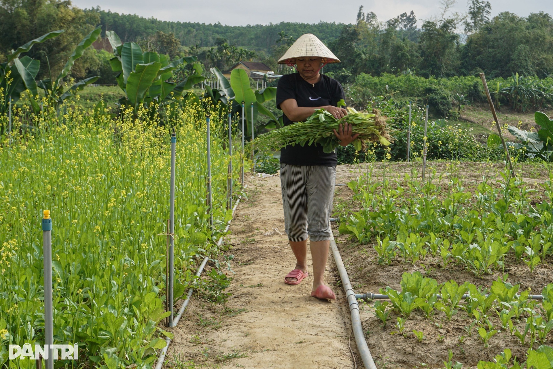 Chuyện về chàng trai cụt hai tay lấy được vợ chỉ sau 10 cuộc gọi - 6 Chuyện về chàng trai cụt hai tay lấy được vợ chỉ sau 10 cuộc gọi - 6