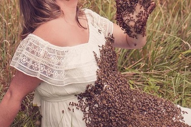 Điên rồ bà bầu chụp ảnh cùng 20.000 con ong