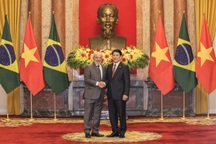 Quan hệ Đối tác Chiến lược Việt Nam - Brazil ngày càng đi vào chiều sâu