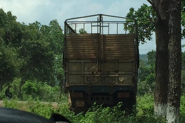 Yêu cầu truy trách nhiệm vụ gỗ lậu "ẩn mình" gần đồn biên phòng