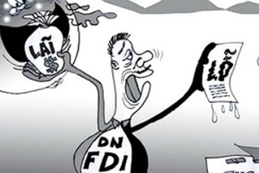 Kiểm tra 30 doanh nghiệp FDI, giảm lỗ hơn 1.600 tỷ đồng